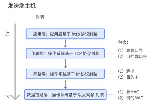 網絡通信基石 核心設備、關鍵技術及技術服務全景解析